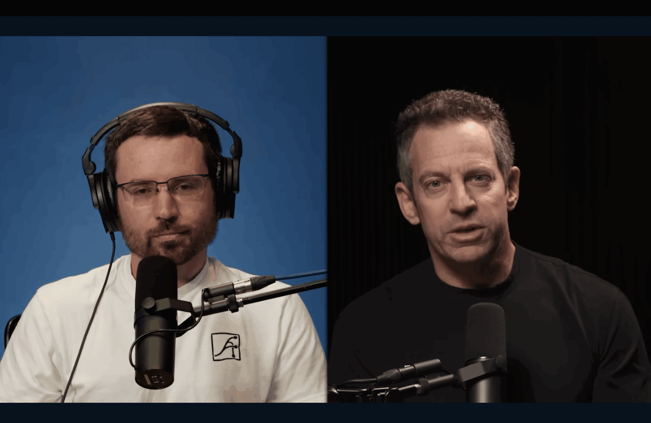 Making Sense with Sam Harris Podcast in LRB